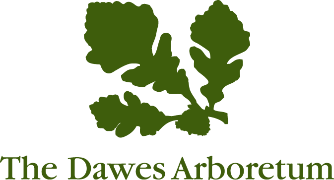 Dawes logo - no tag line green.png
