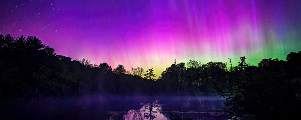 Ohio's Wild Grace: Photographs by Brandon Elijah Scott Evening Viewing