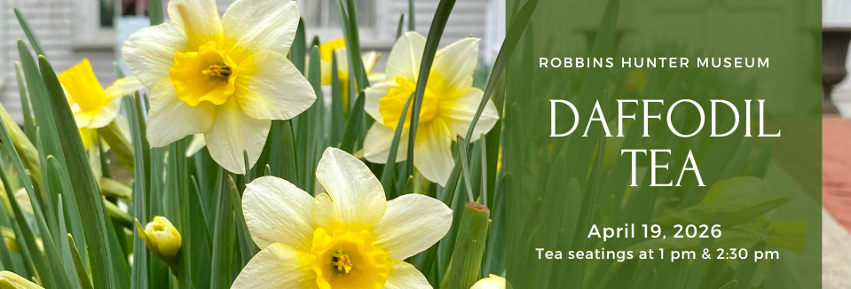 Daffodil Tea