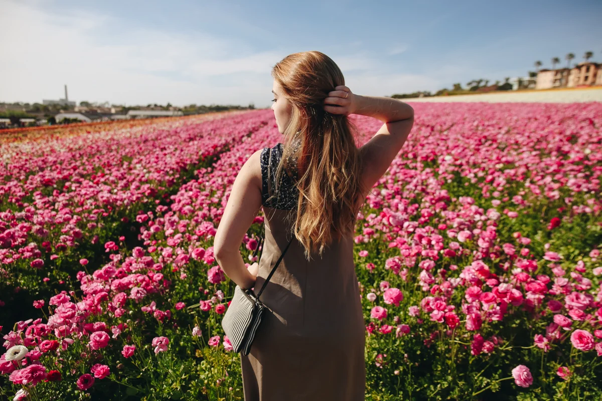 CARLSBAD FLOWER FIELDS