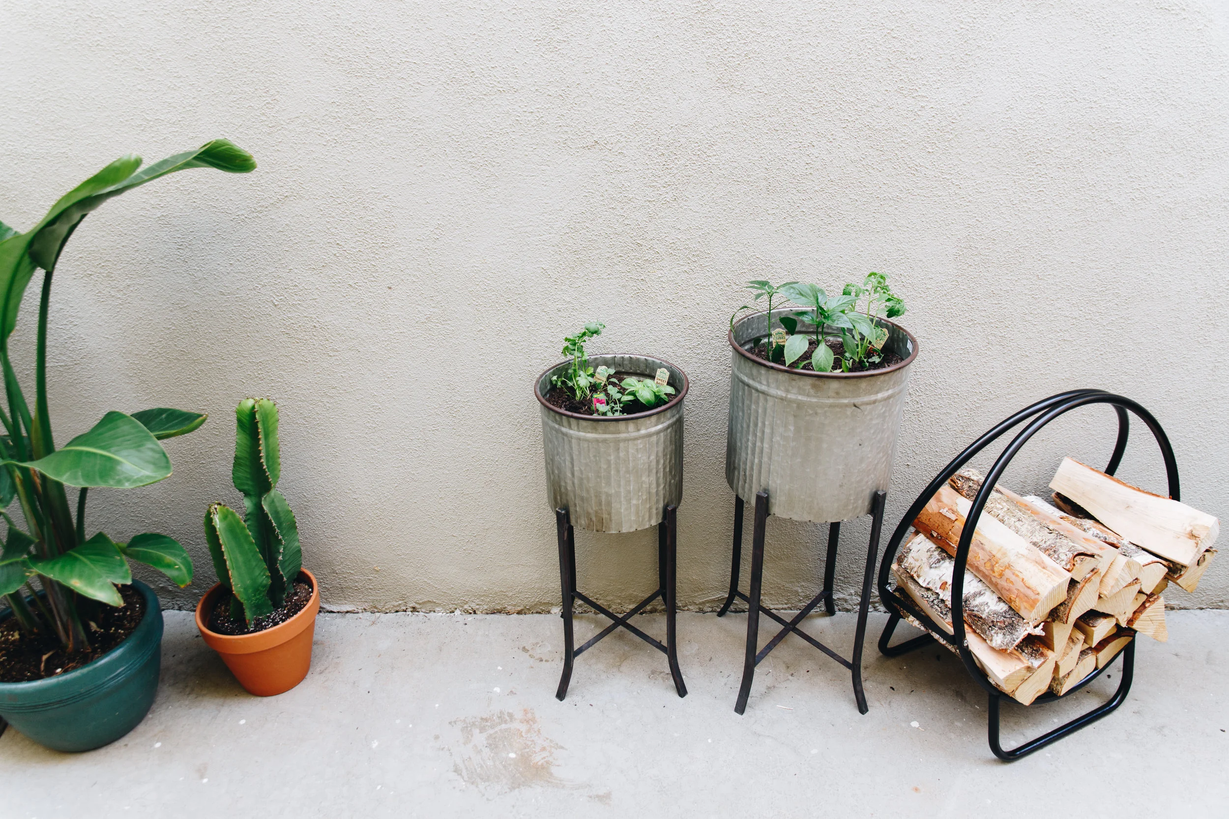 jungle-patio-8.jpg