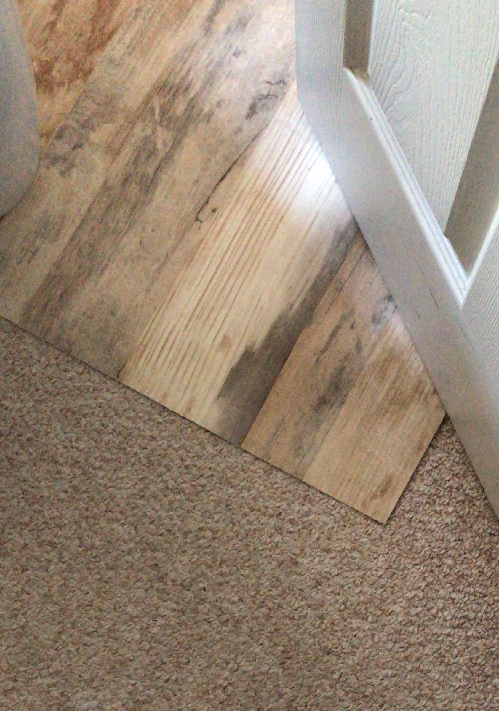 Temporary Wood Floor For Ers, Laminate Flooring On Top Of Carpet