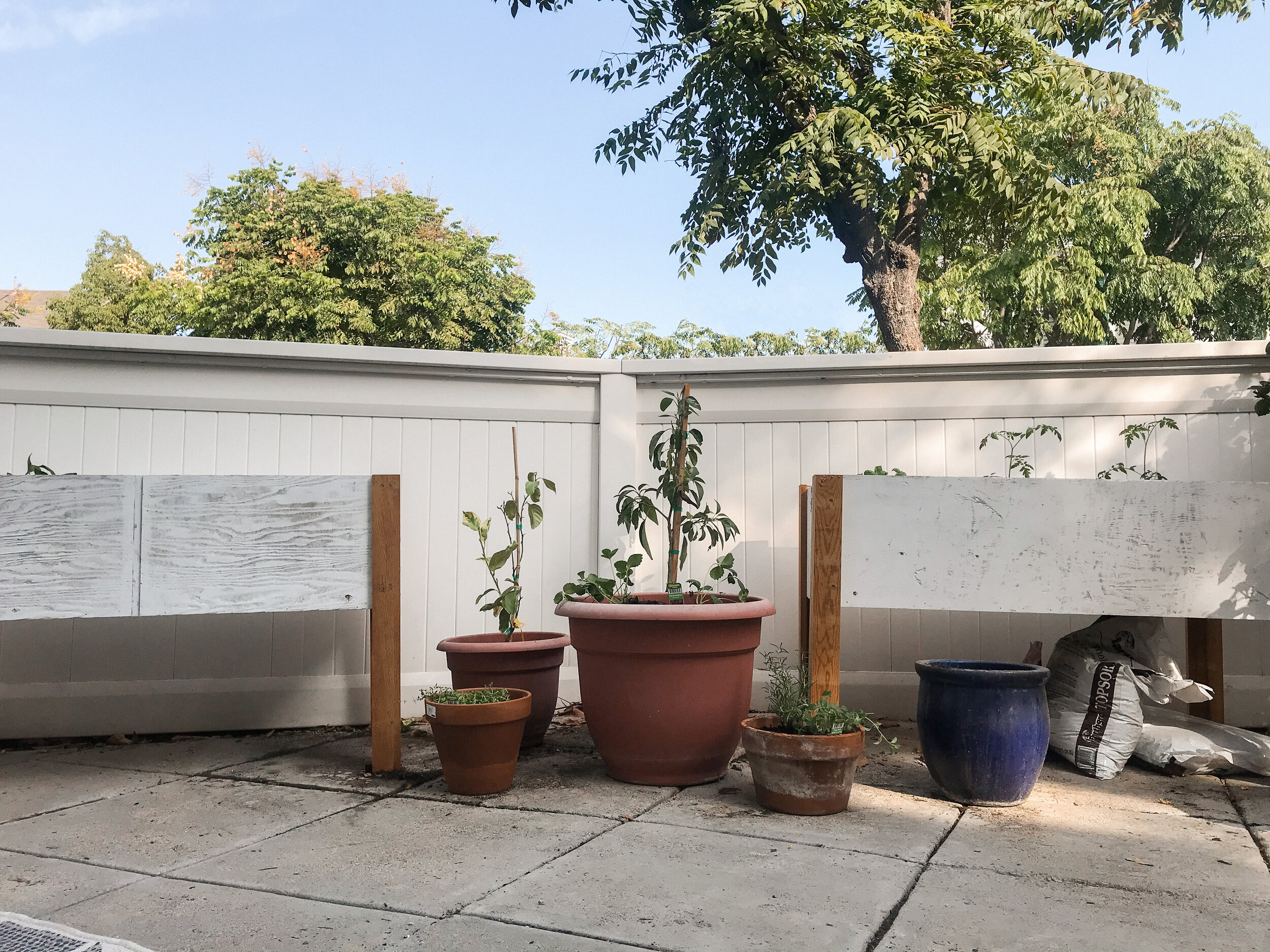 Garden Tips I Learned While Planting Our Own!