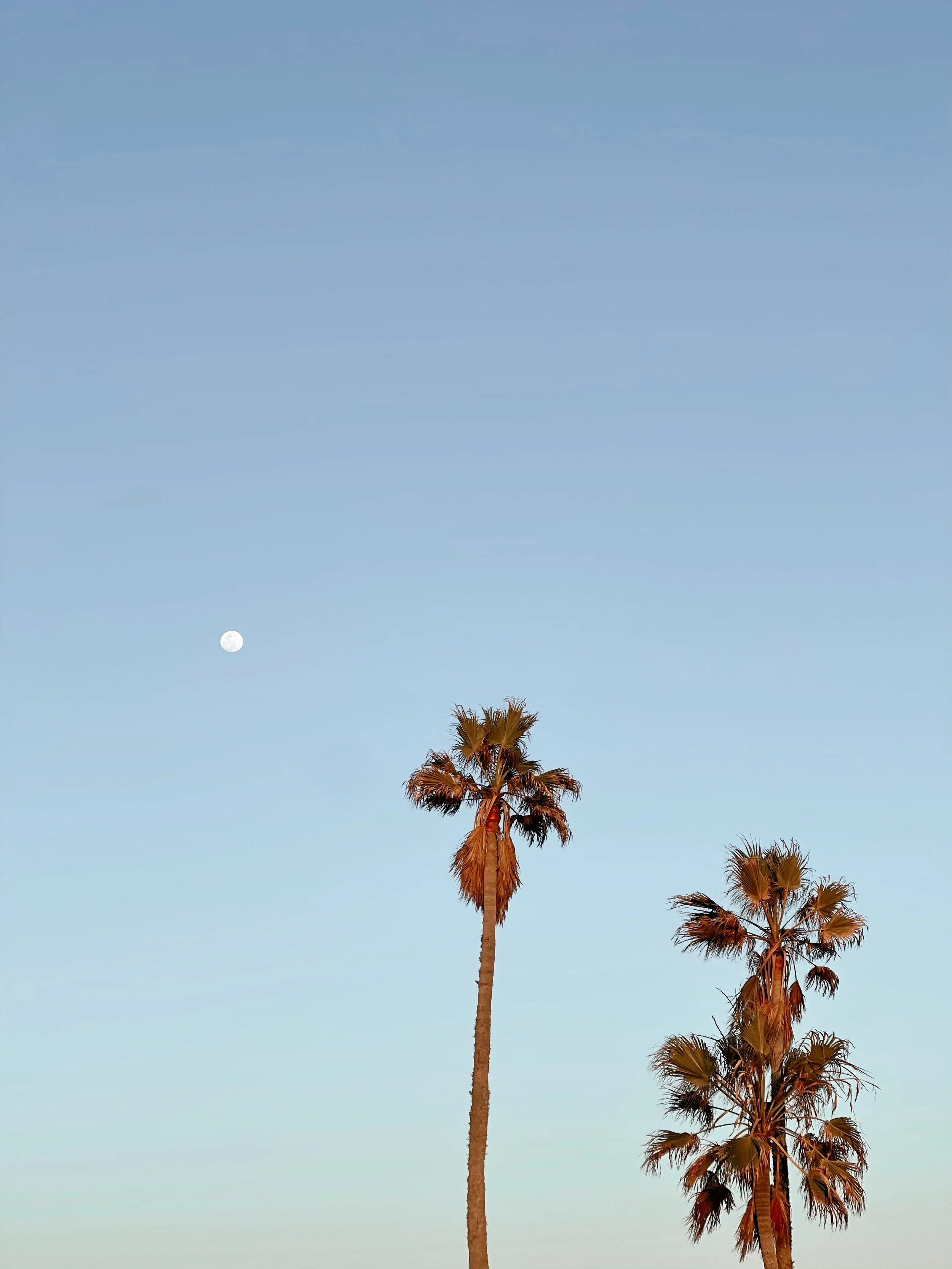 How To Train Yourself To Fall Asleep Easily