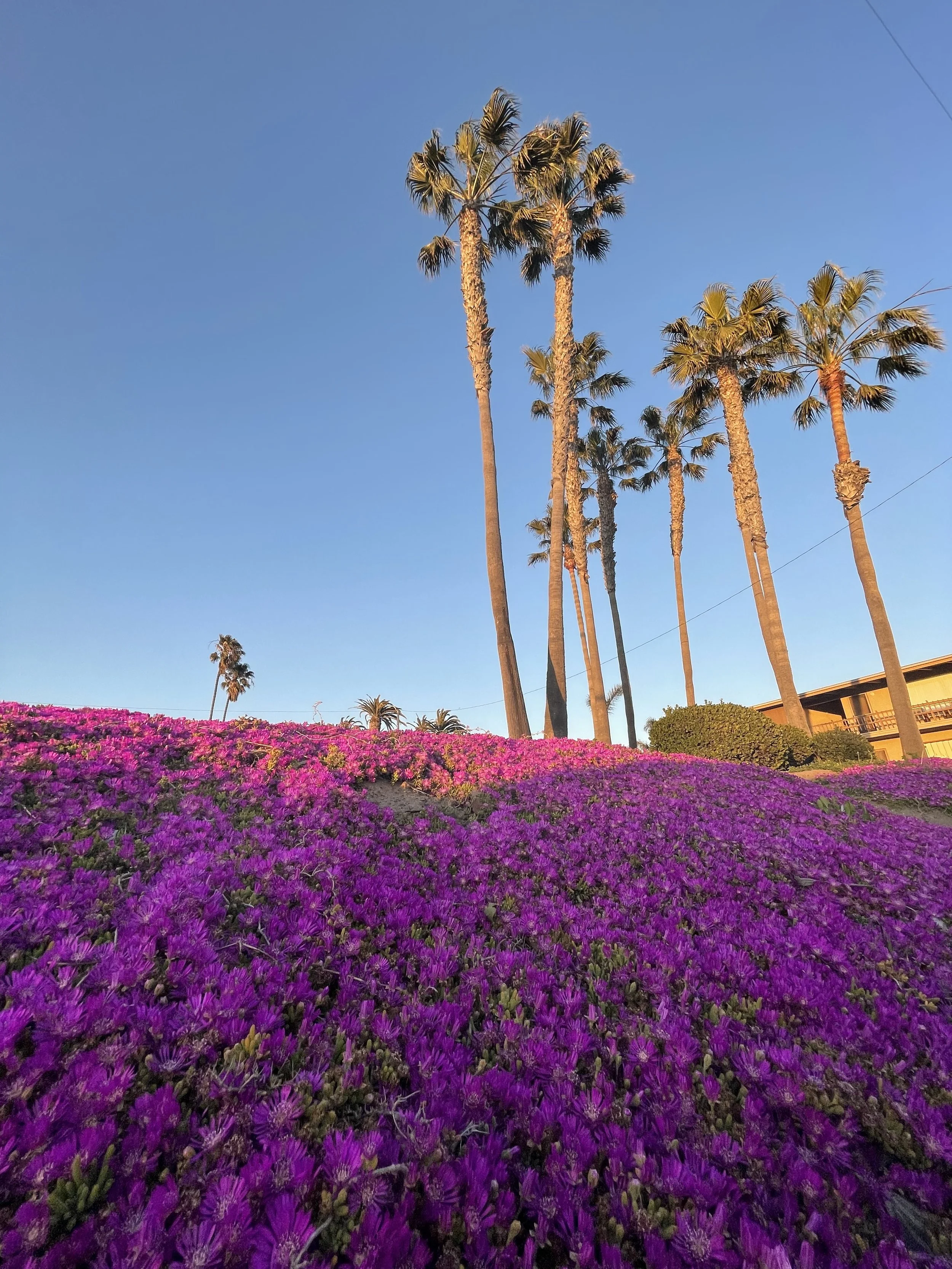34. Los Angeles culture shock: Top 10 big adjustments after moving from the midwest