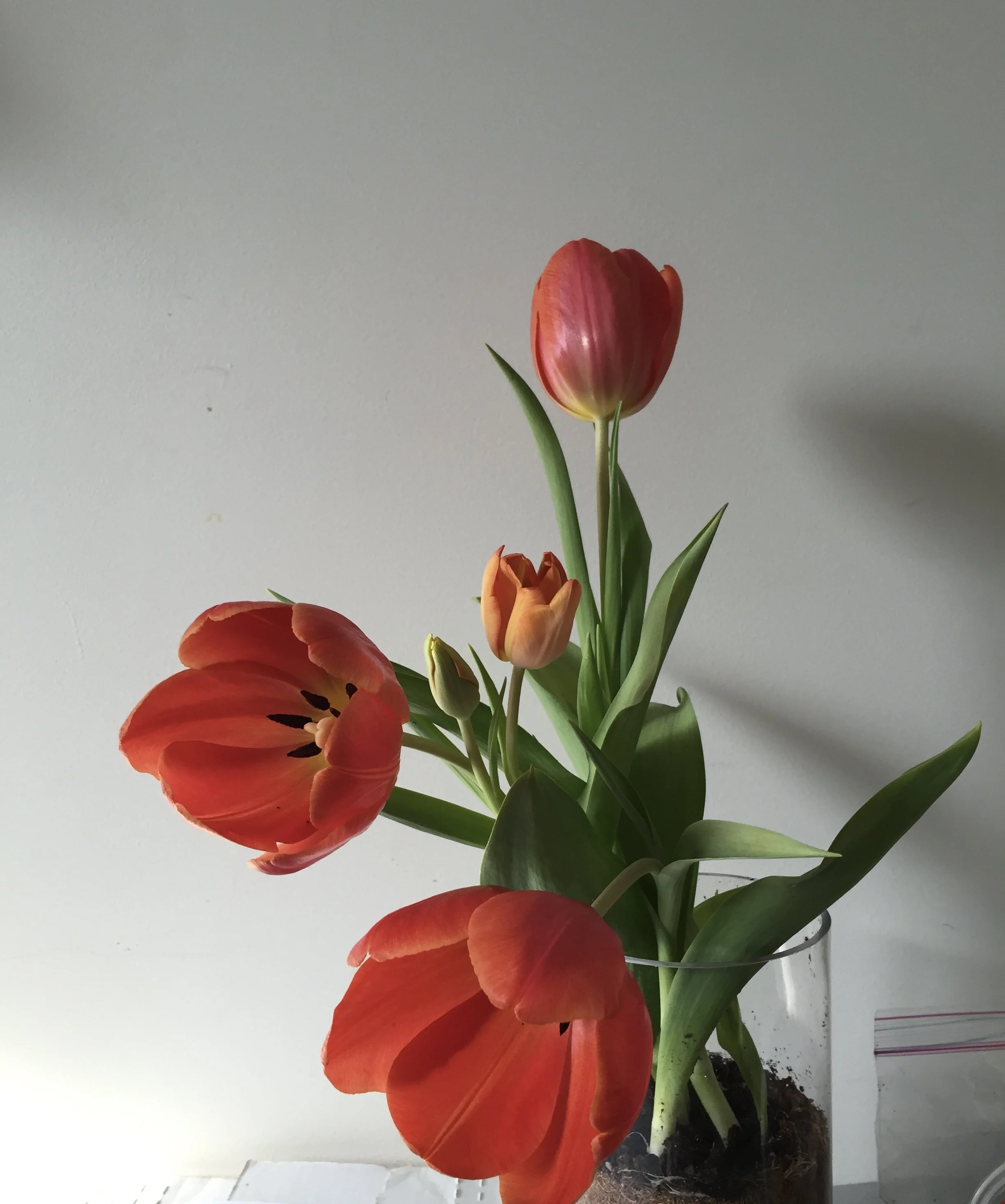 55. Guilty Pleasures I Don't Feel Guilty About