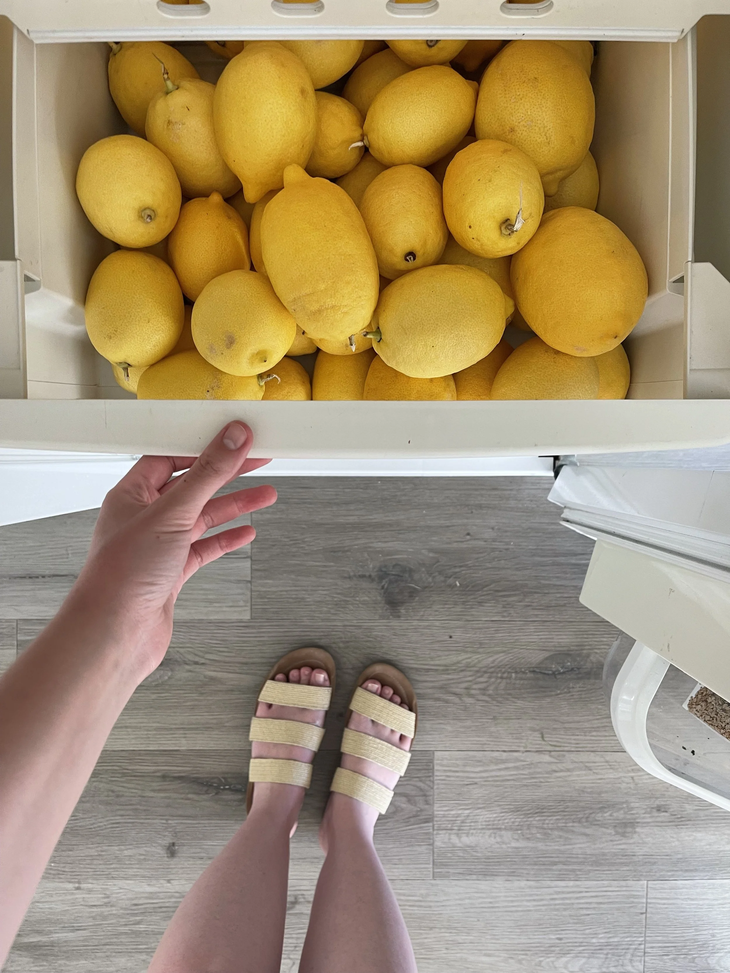 58. Grown Up “Back To School List” aka How To Have A Cozy August