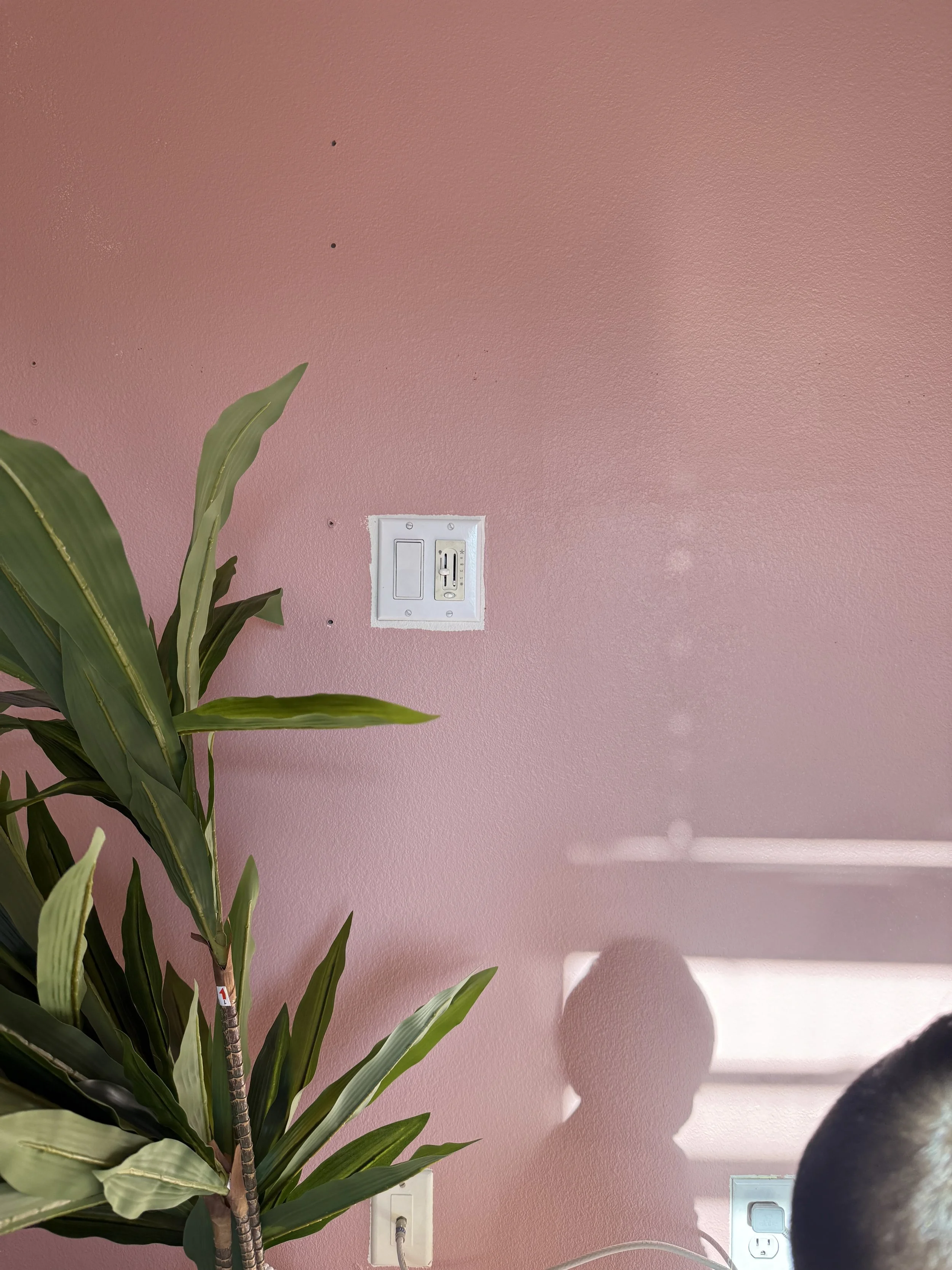 The Best Pink Paint for a "Cool Girl" Room