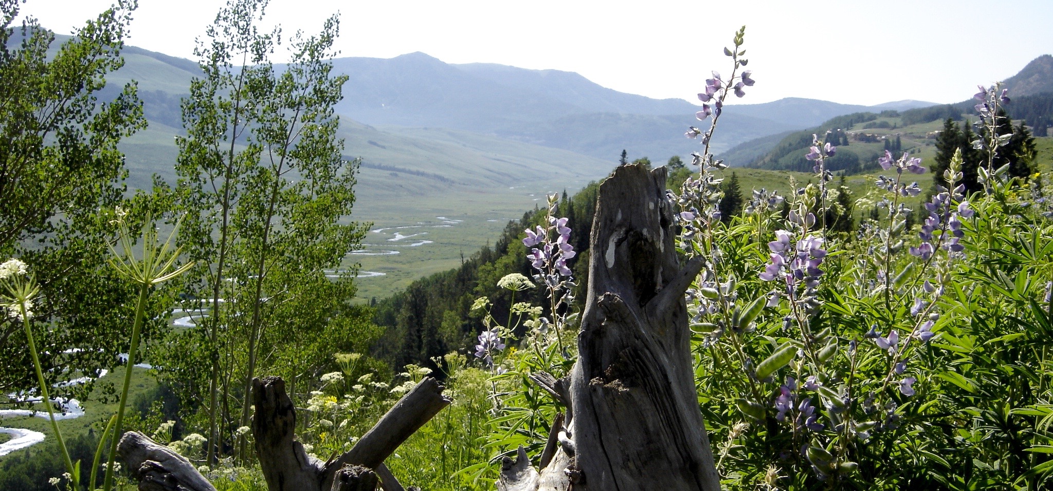 Writing as healing lesson plans for teachers