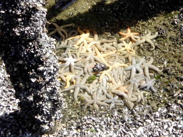 What to say when you don't know what to say