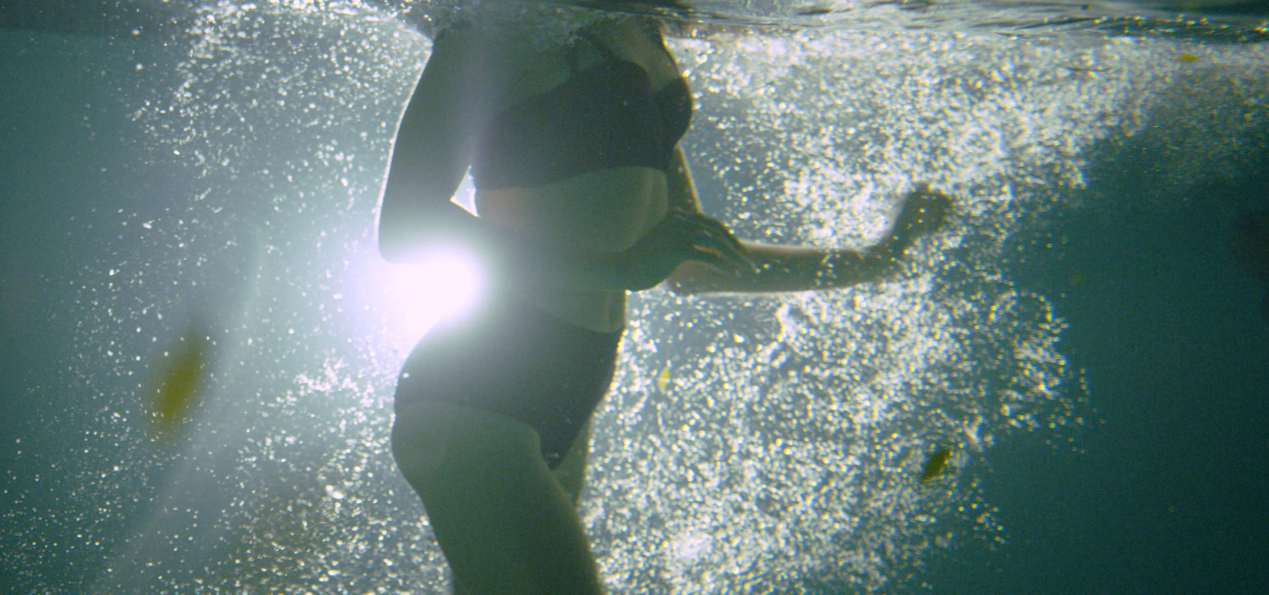 Sequence 01.00_10_55_07.Still029.jpg