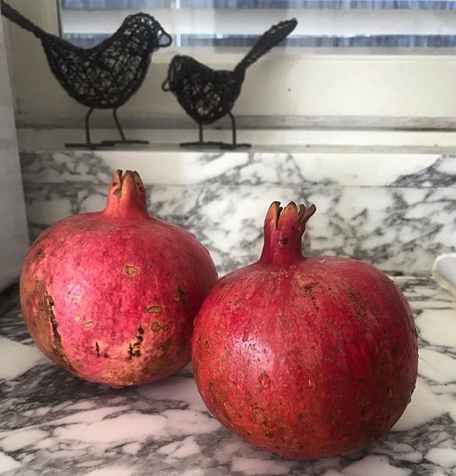 A small harvest but a delightful one #homegrown #pomegranate #bloodybirds #organic #growyourown #gardentoplate #frommybackyard
