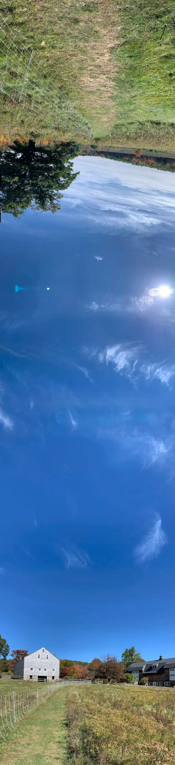 2020-10-11+11.42.47.jpg