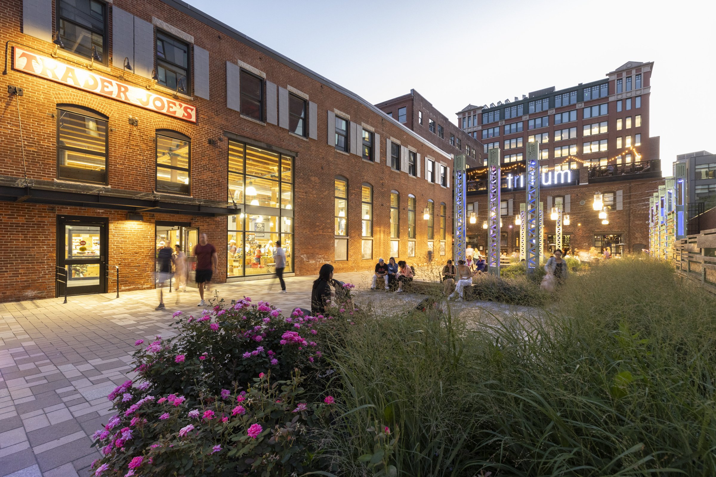 Urban outdoor scene at dusk with people sitting and walking near a brick building with a Trader Joe's sign, glass windows, and a lit outdoor art installation with colorful vertical structures. The foreground has pink flowers and green bushes, and peo