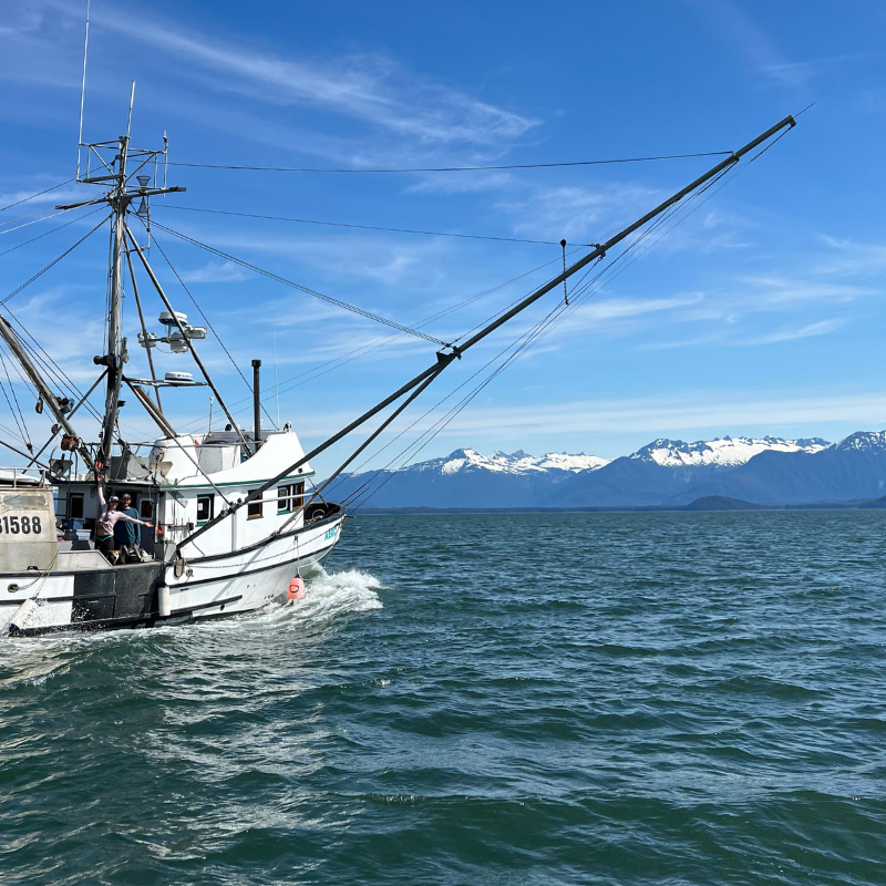 Schoolhouse Fish Co.