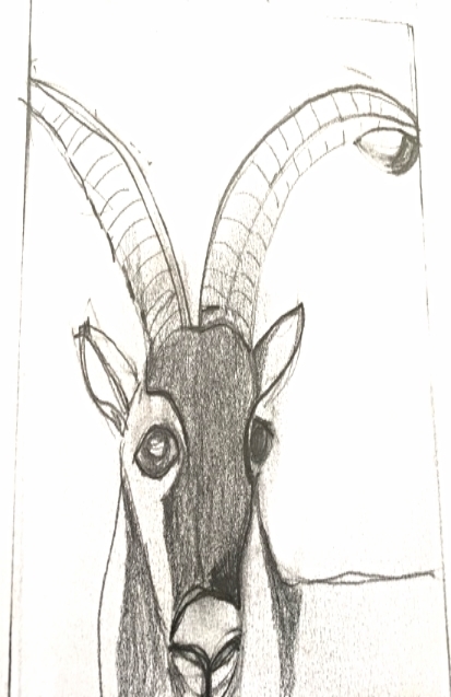  Pyrenean Ibex R.I.P.