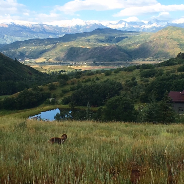 Woody Creek Writer's Residence