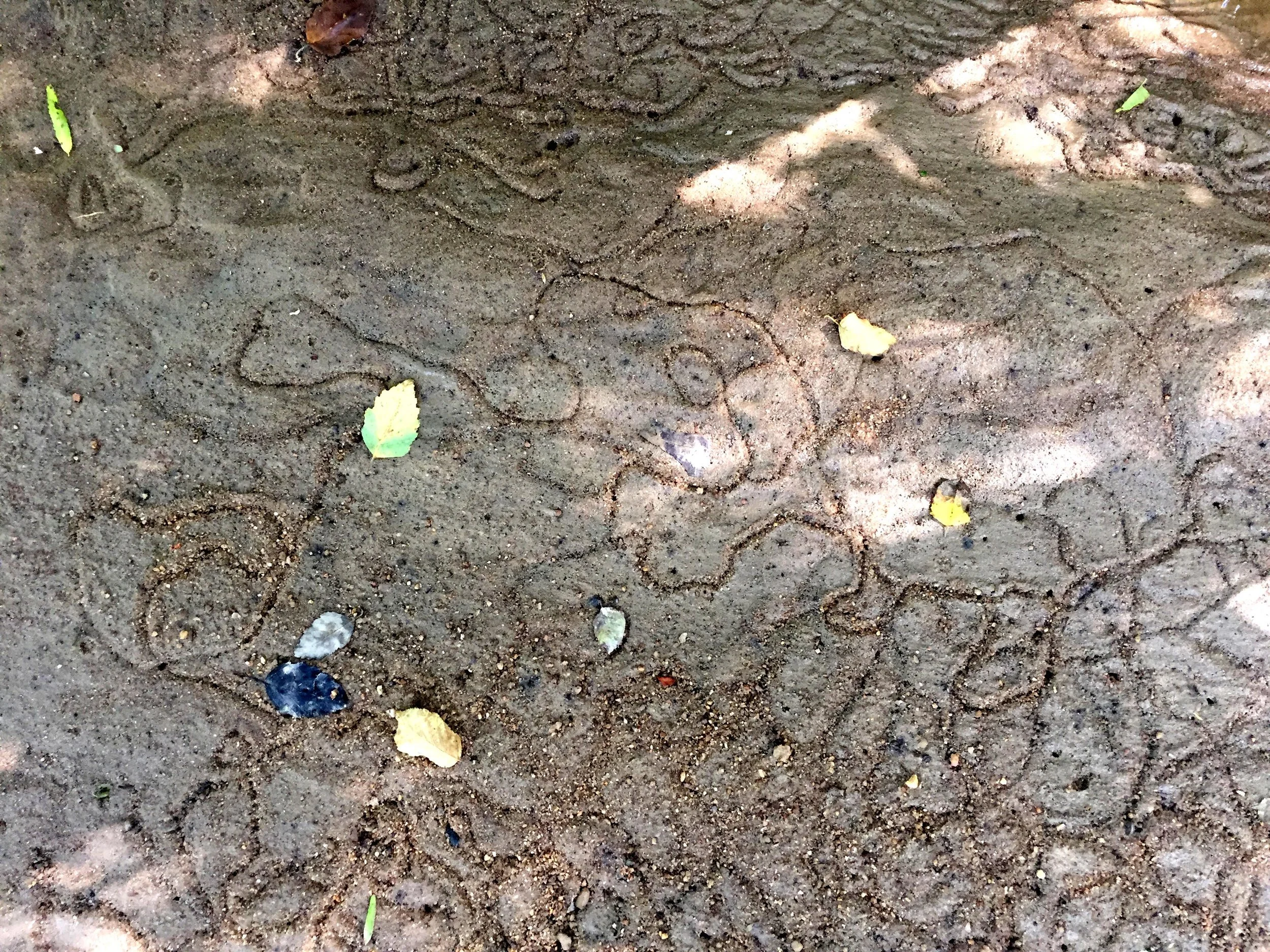 Sand Drawings 13_small.jpg