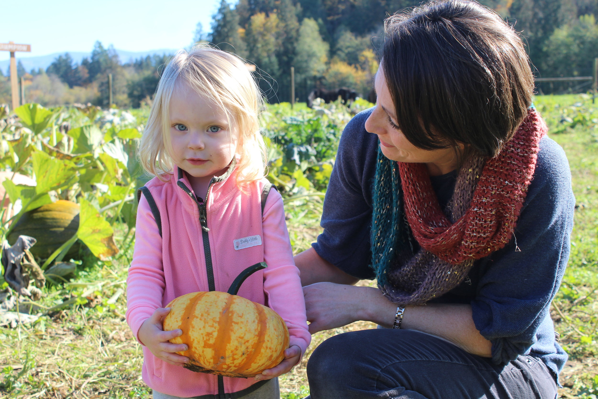 Let's give em Pumpkin to talk about!