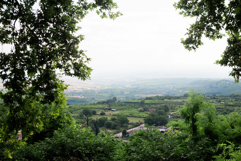 The view from a park that's just a few minutes away from where Patrice lives. (Same spot as the very top picture in the post.)