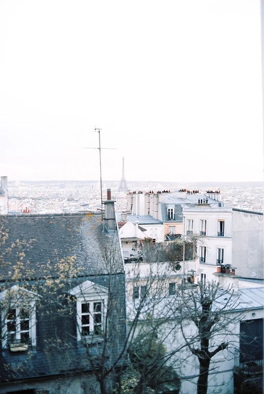 A view of the city from the Sacré-Coeur
