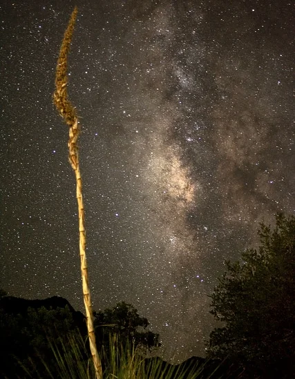 Dark skies over Big Bend, in the absence of light pollution exposures like this one are a cinch. Nikon digital.