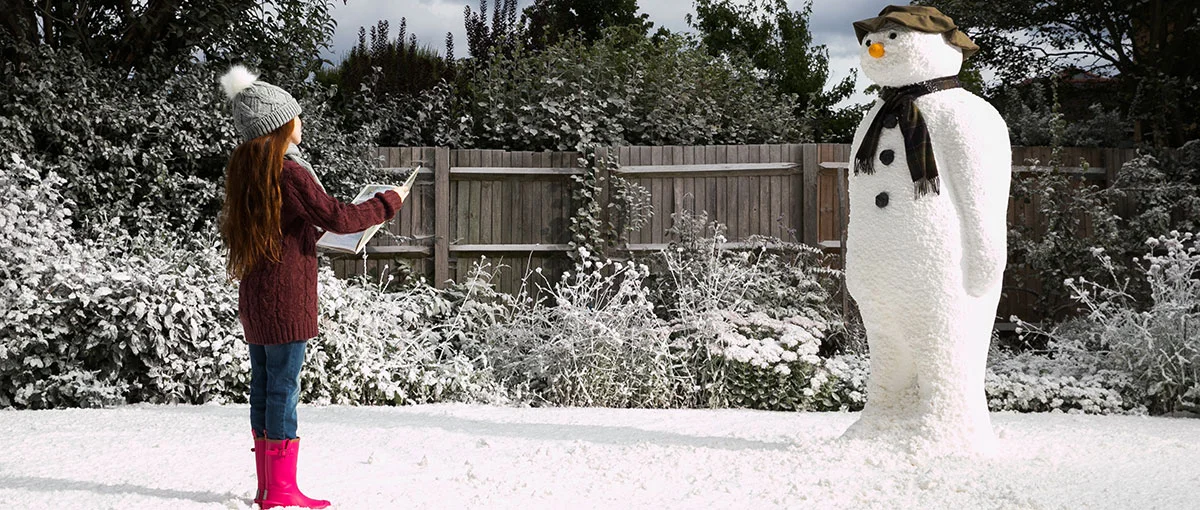 the snowman.jpg