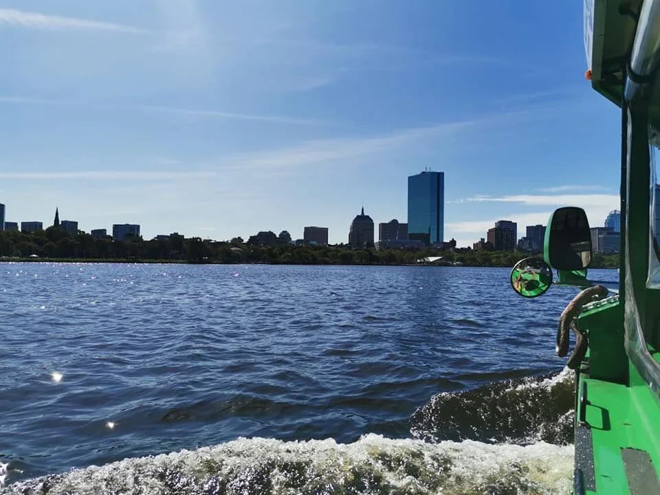 duck2.jpg
