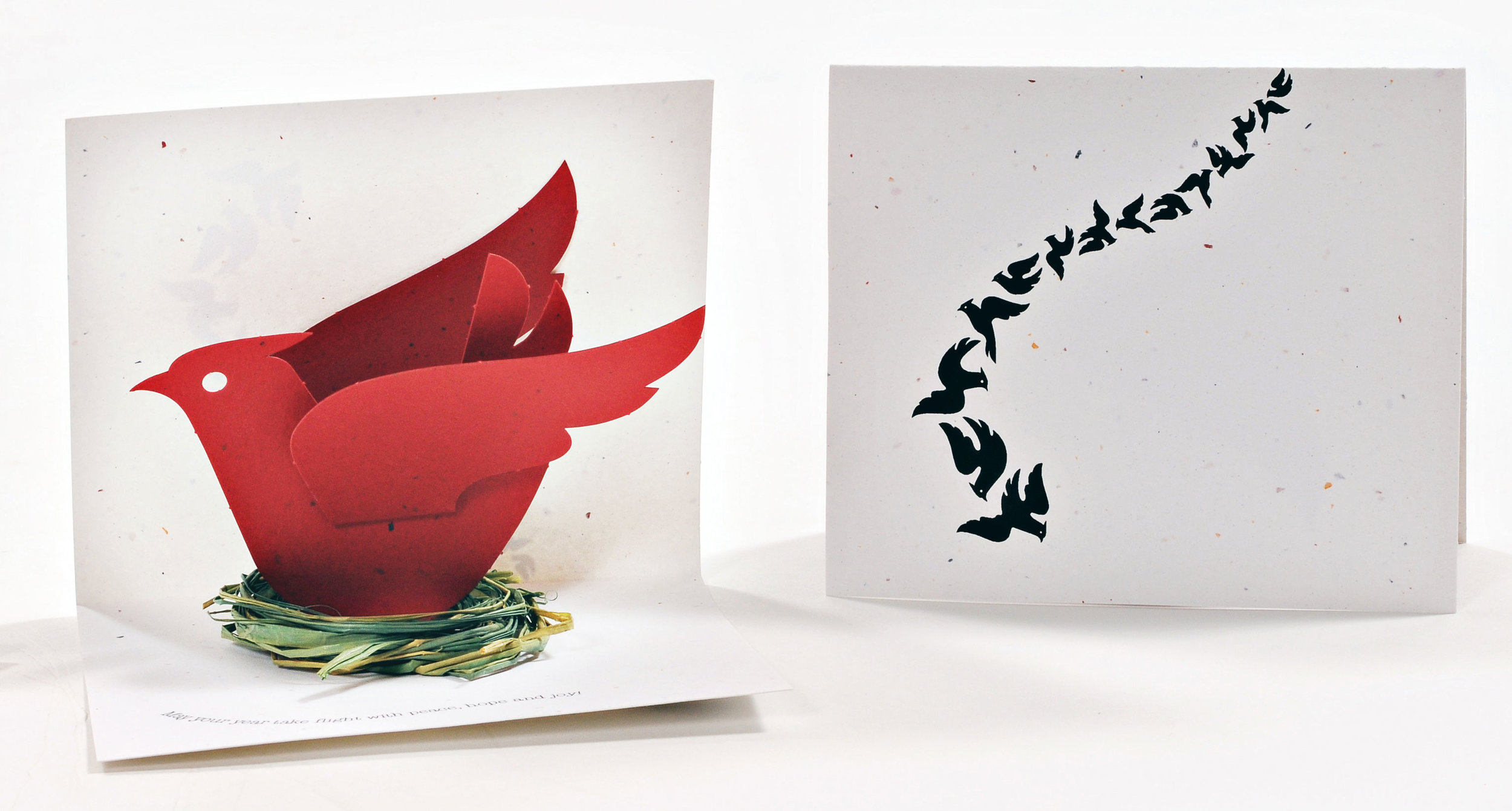 Cardinal-Pop-up-Card.web.jpg