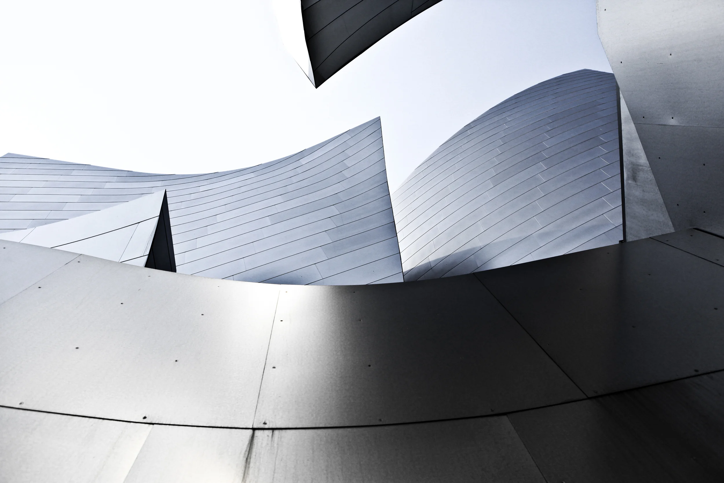 IMG_1117 copy copy.JPG