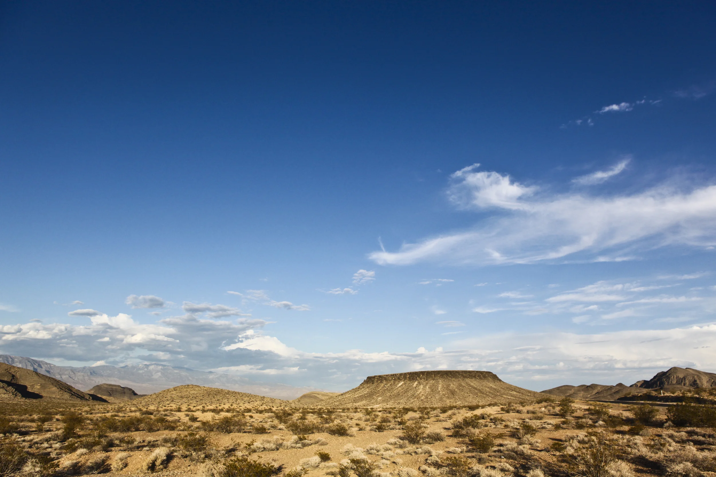 IMG_7081 copy copy.JPG