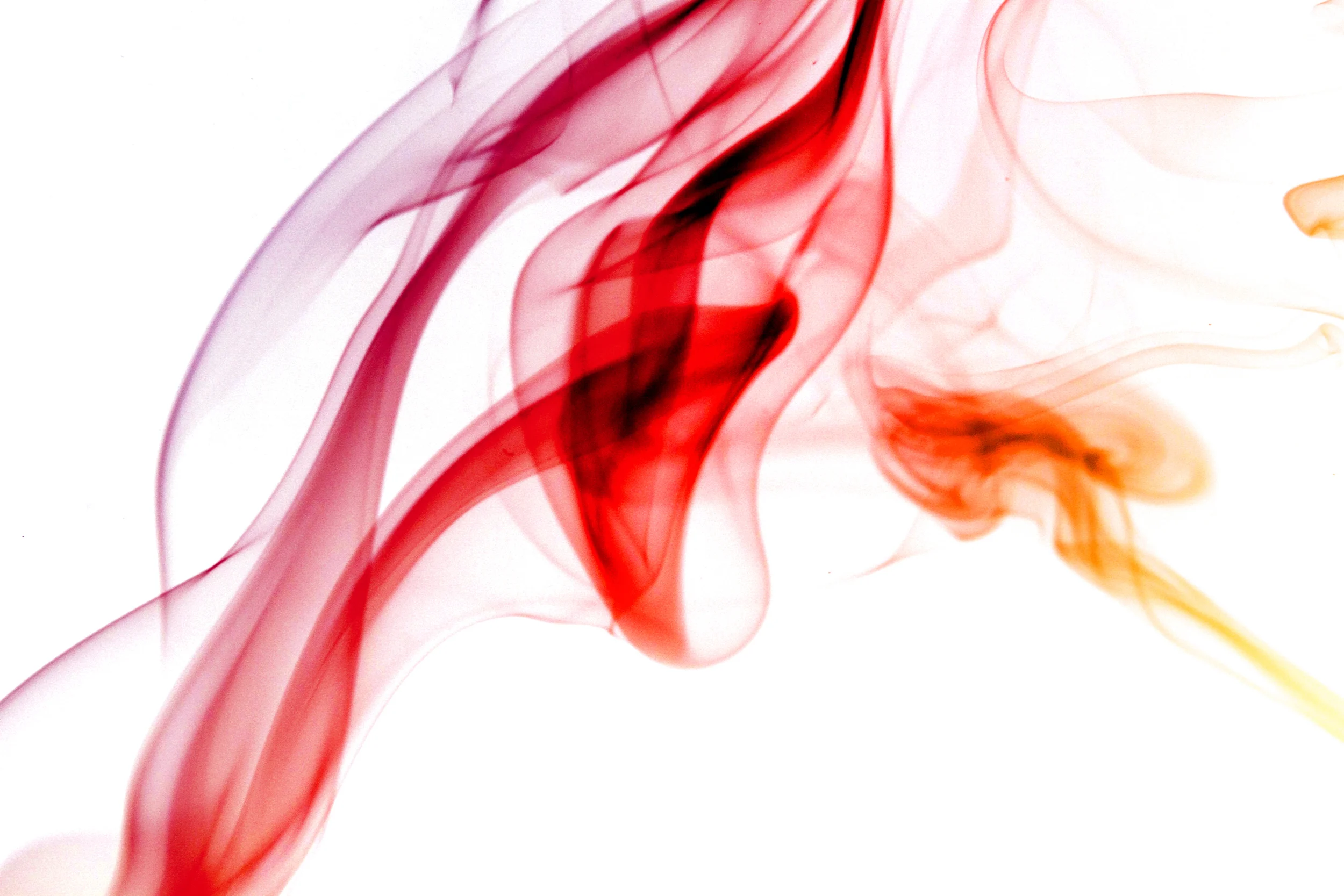 redflowermix copy.JPG