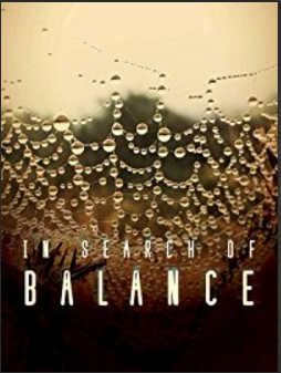 In Search Of Balance