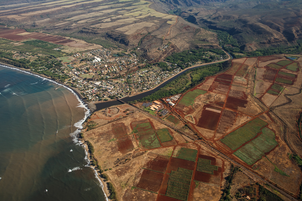 GE Test fields upwind of Waimea river and residences. Photo credit: Makana Designs
