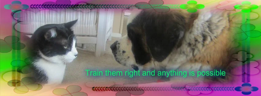 pizap.com14558369879361.jpg
