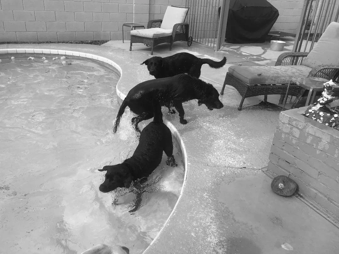 Kiki, Koko and our dog Sammy. Spring Break 2019