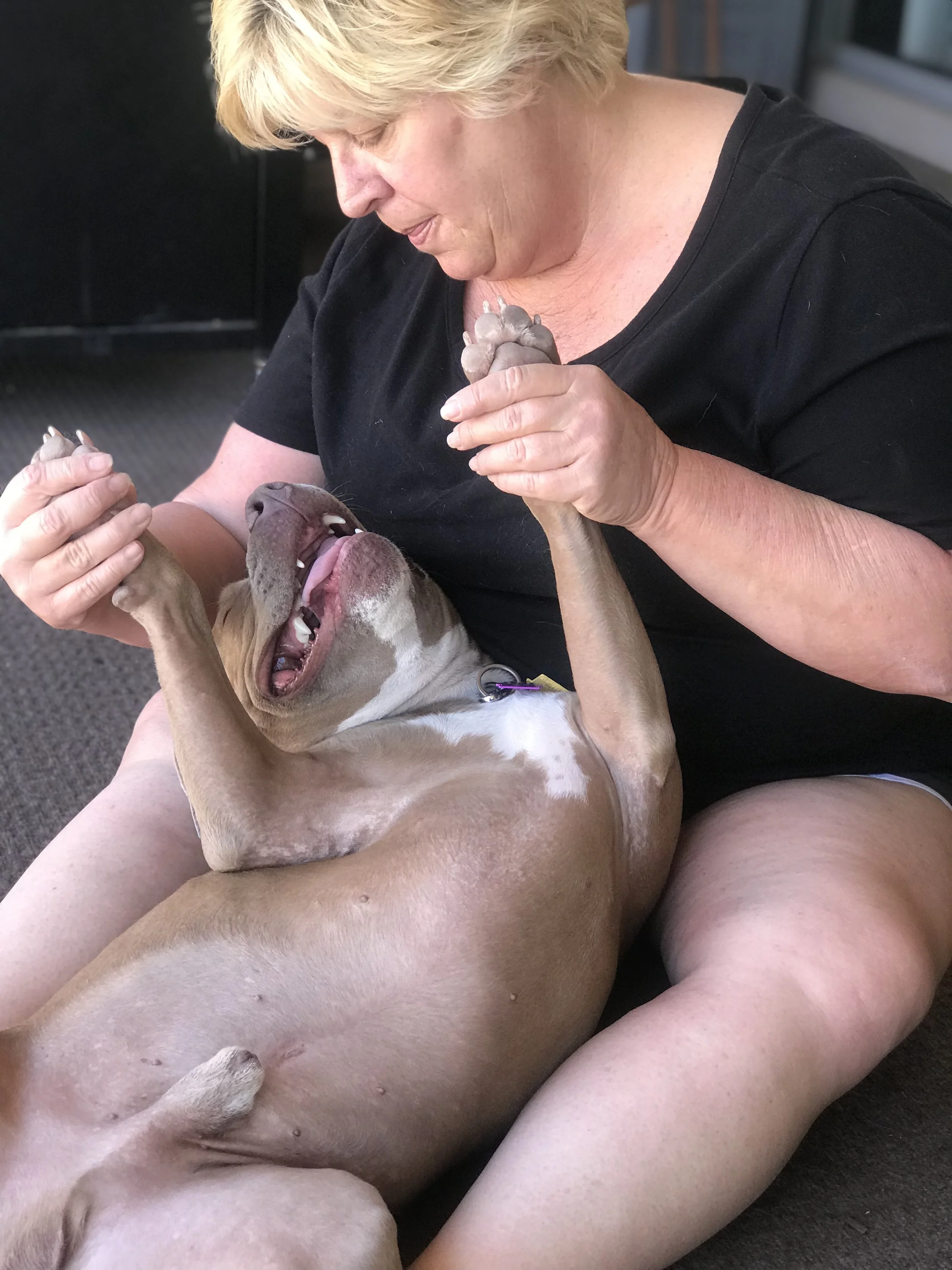 BD7294C9-8FFC-4407-A93F-1F257862FE5E