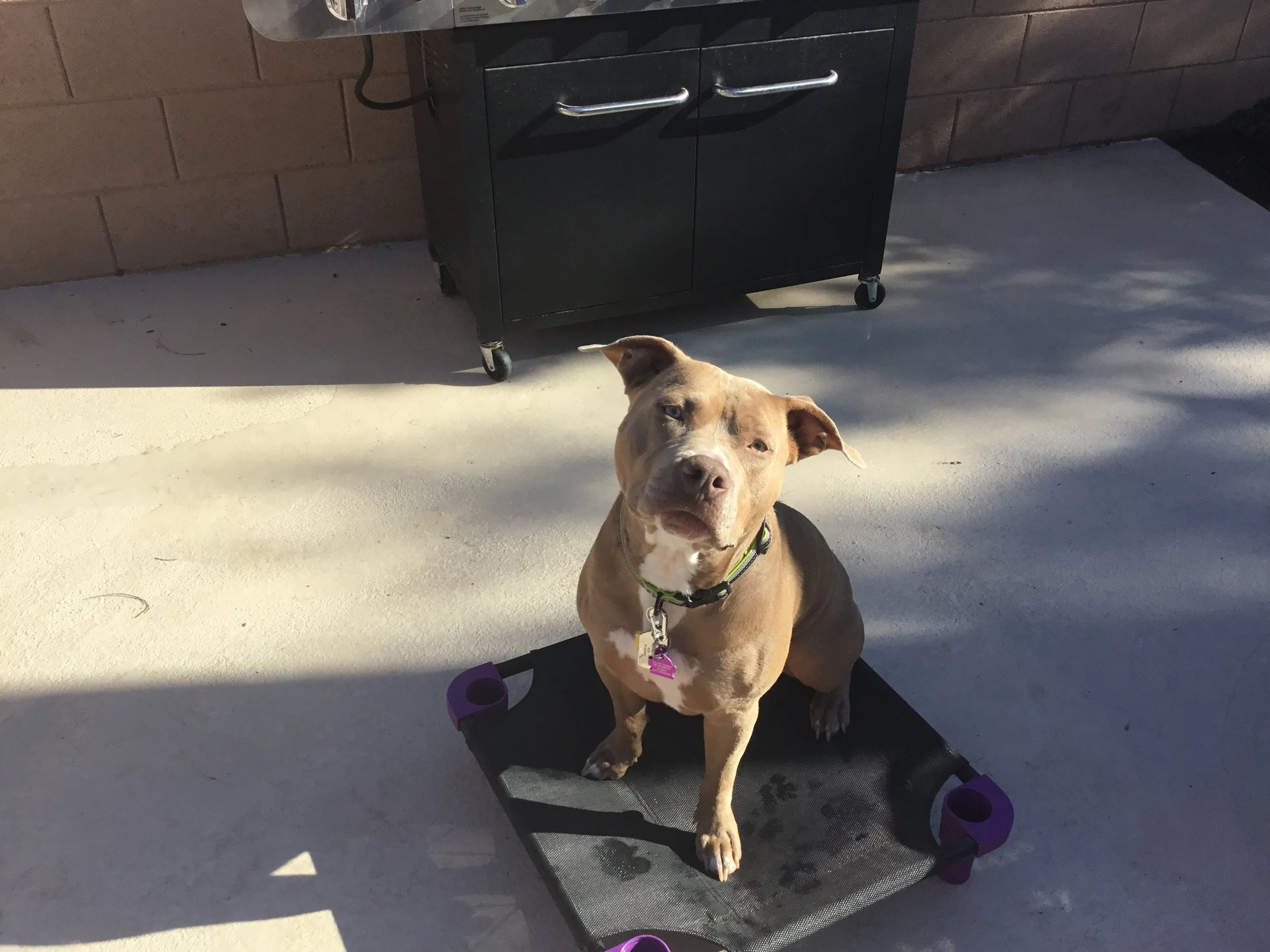 203807F1-5ADF-4632-AF39-A380050E96A4