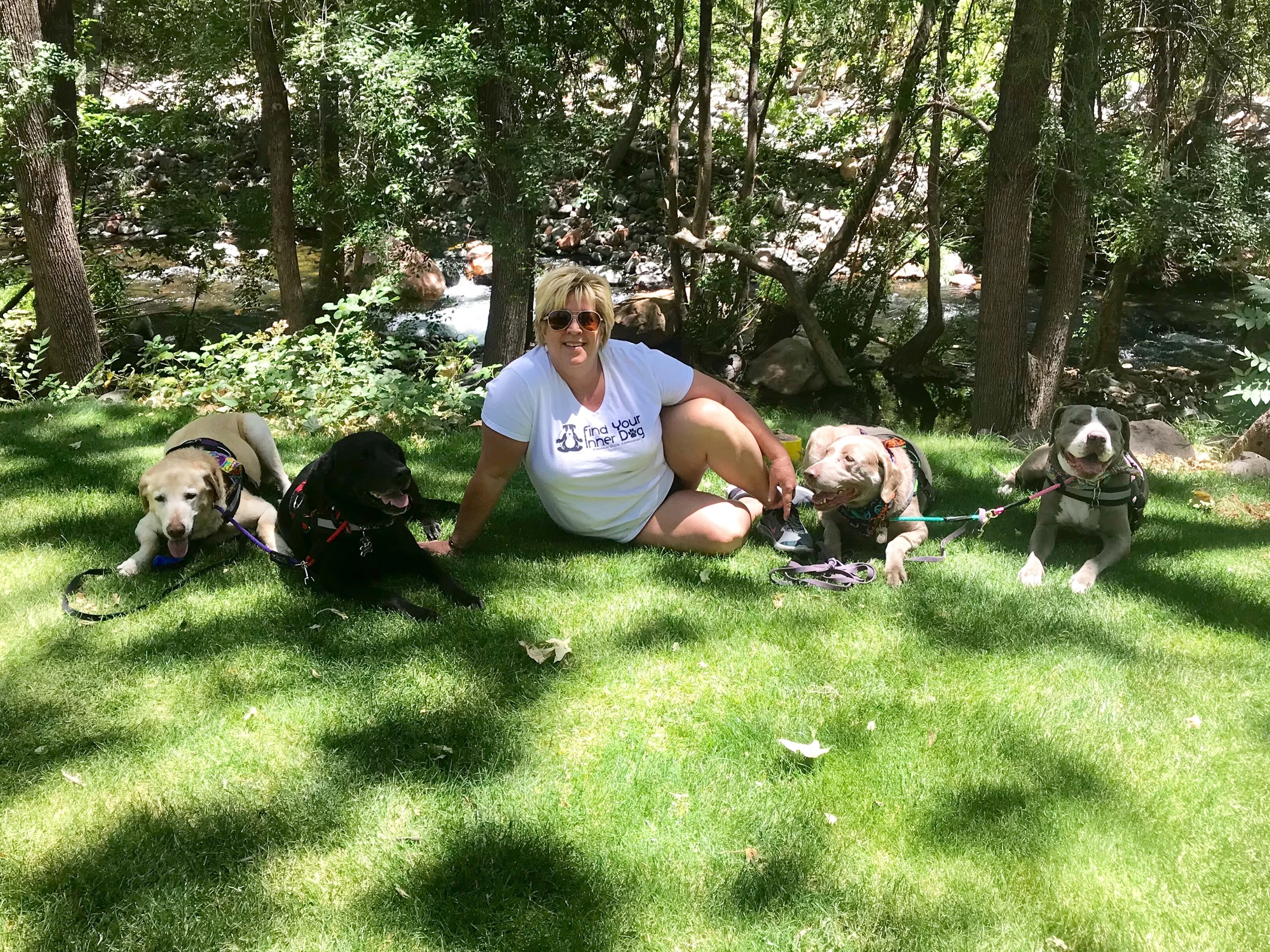 L-R Jojo, Sammy, Brutus and Petunia