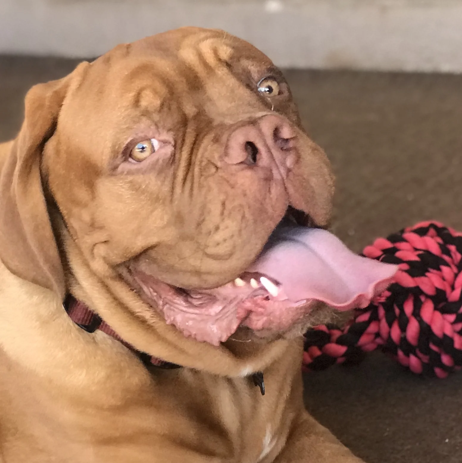 C3C95E25-5DBF-40CA-BB96-36E985969C61