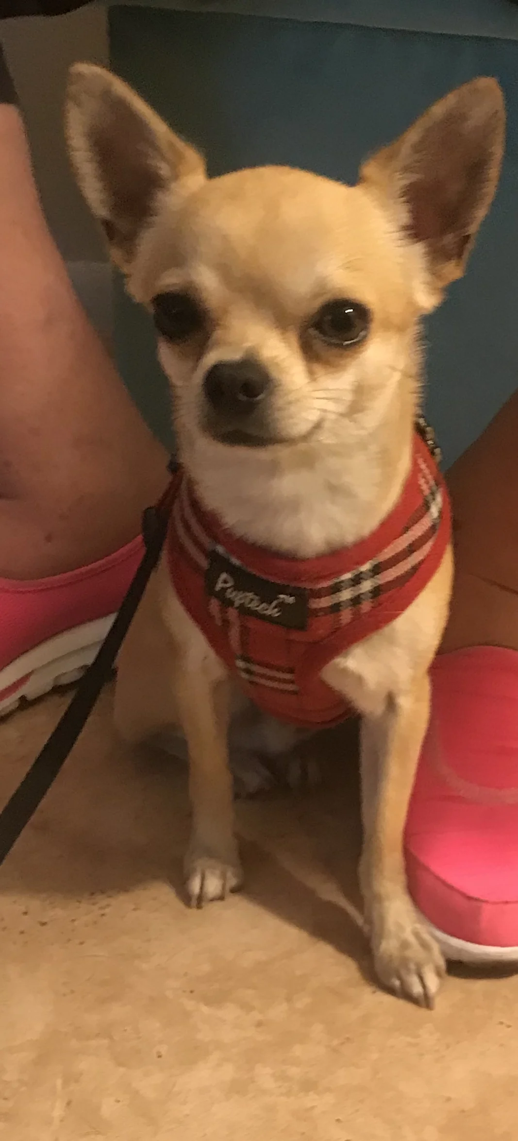 22006A92-908F-4AB7-B09A-F29DD8F8B39F