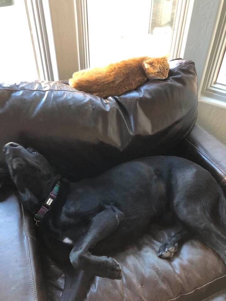 CF655229-02EF-4C7A-BDF1-8E3A3AB6515B