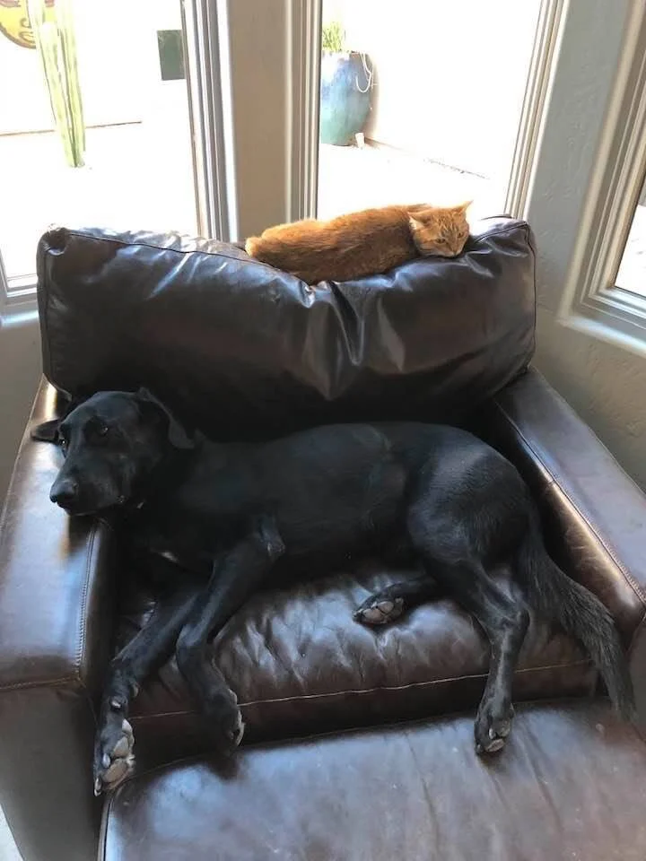 21BCC2CB-36F7-470D-A3D1-42985C66D95B