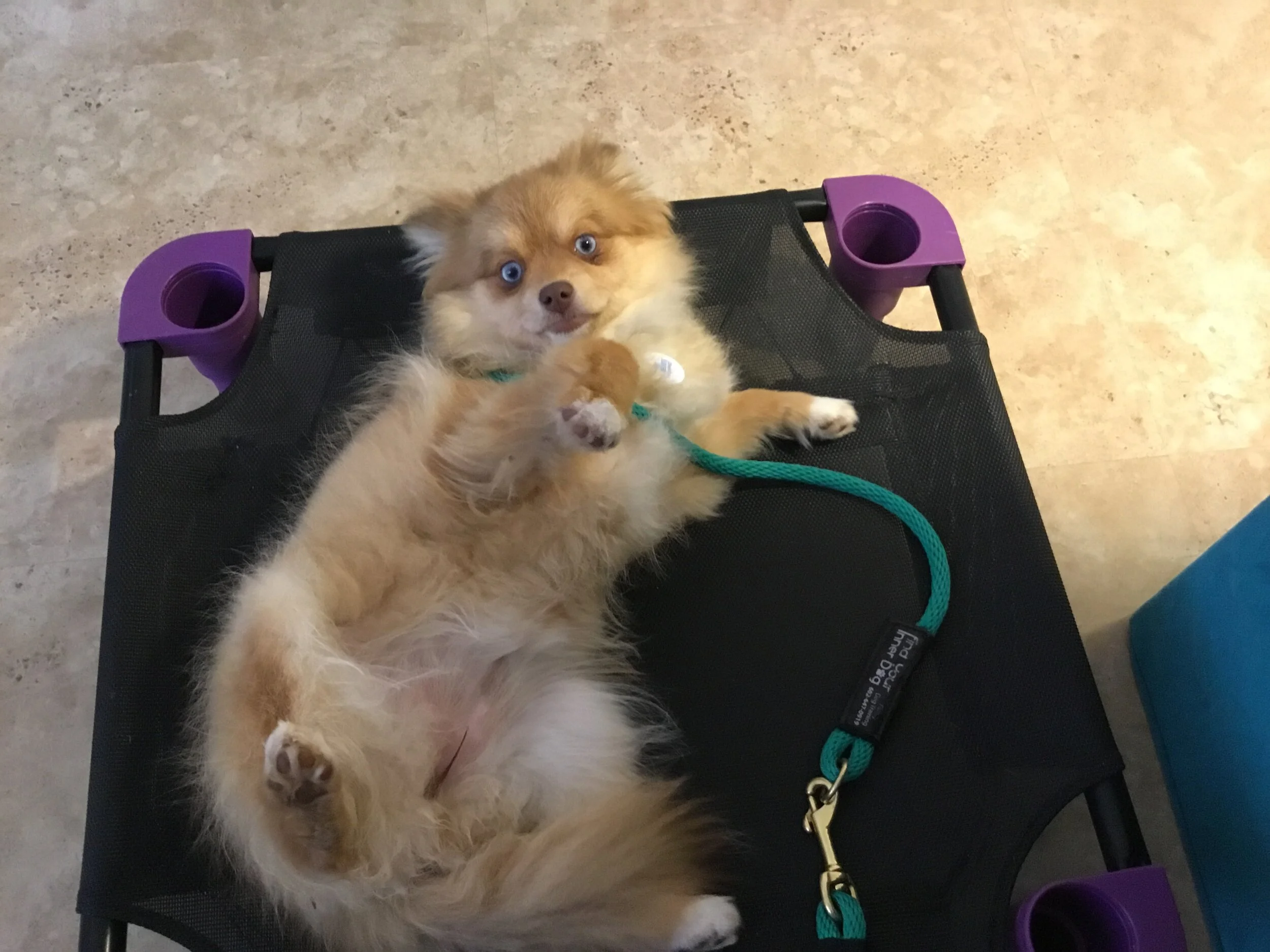 97068817-9276-4093-A519-99DEF37987E5