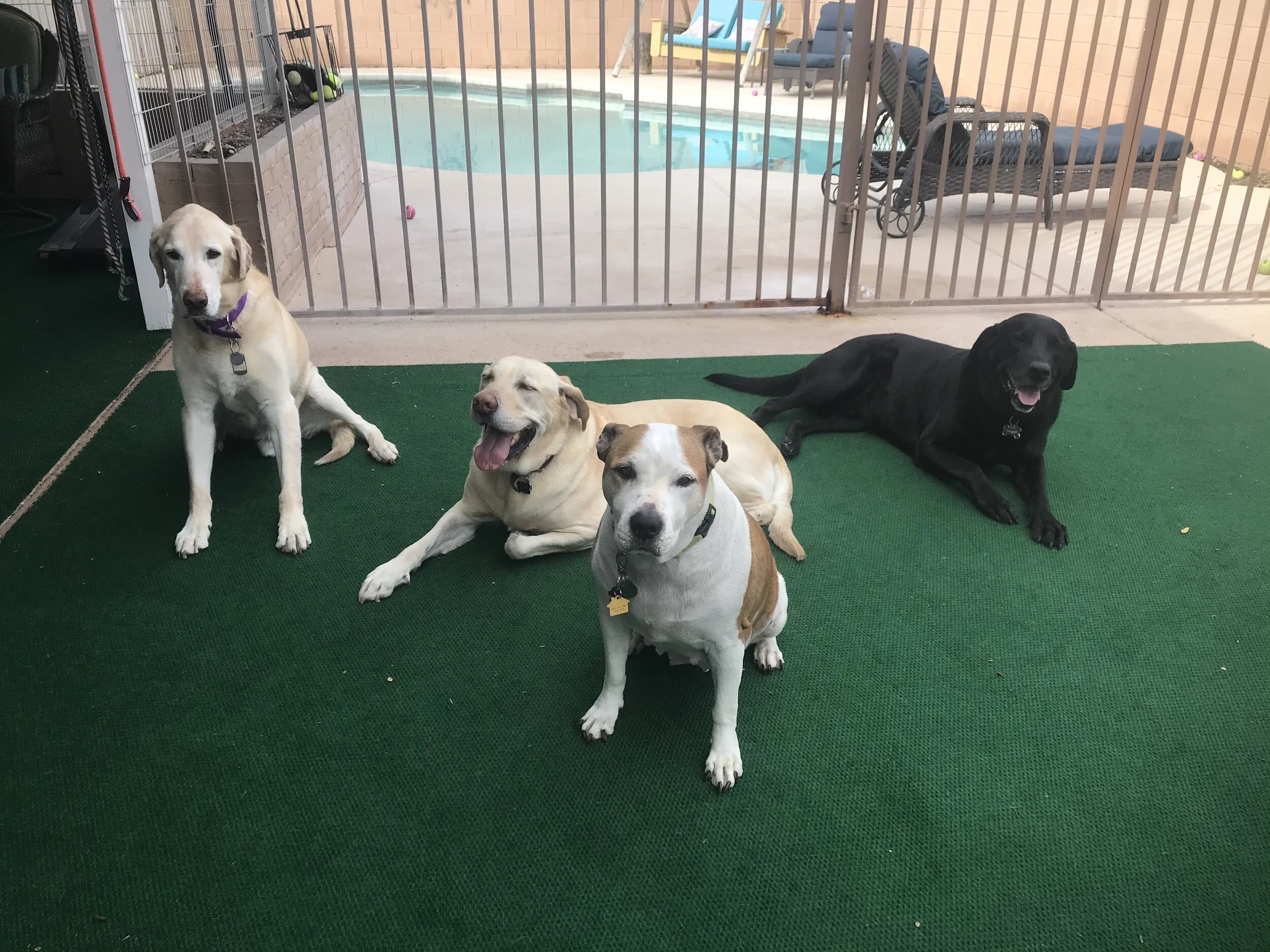 D0E38207-3C13-427A-A47A-6BCA7D17F403