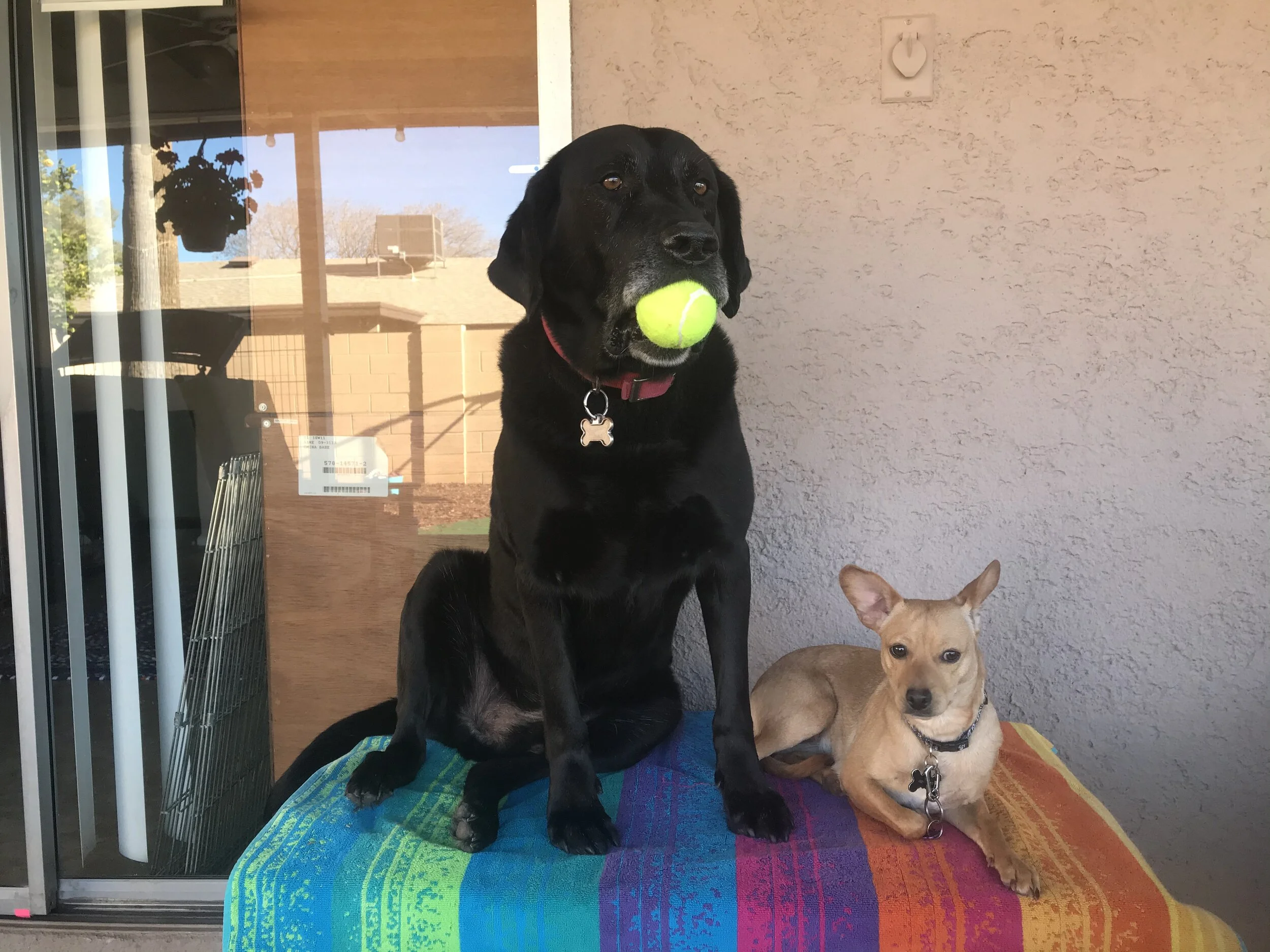 6328AF65-6848-495E-9EAF-D93ED7A2F496