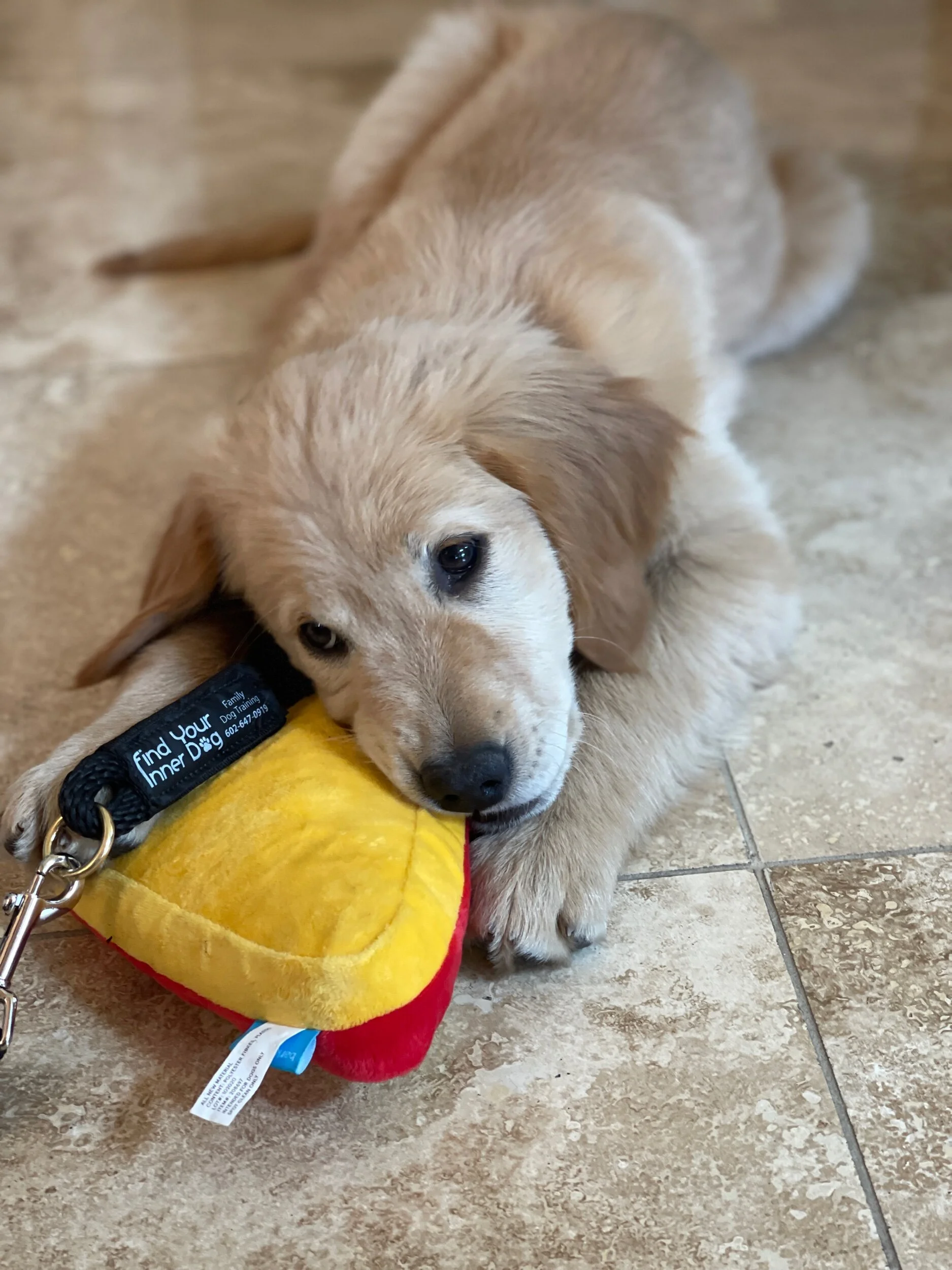 3416AF5C-C3F4-40DE-9175-CB8C044F97F4