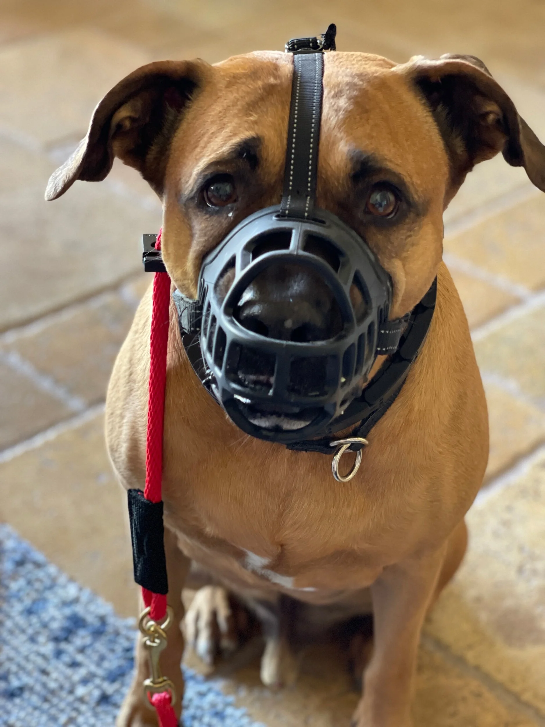 C43B0B0C-0909-4DE9-8B2E-F238FF3979BF