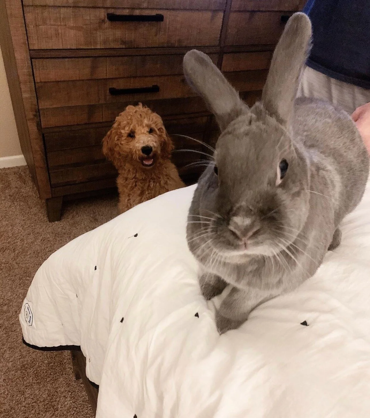 8DF7F288-43C6-4783-BC7F-C8F76A916E0F