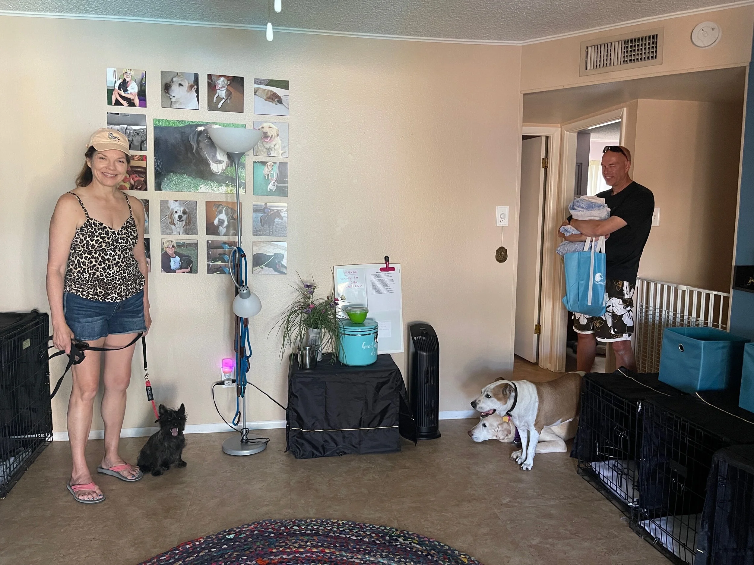 C9F214EE-4846-4580-AEDC-31E9384A9377